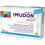 Bioveta Imudon Neo +Zinek 20 tablet – Zboží Mobilmania