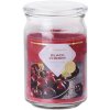 Svíčka Emocio scented Candle Black cherry 453 g