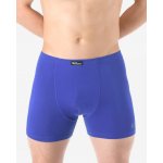 Bambusové šité boxerky s kratší nohavičkou a potiskem ecobamboo světle modré s potiskem 73124P – Zboží Dáma