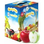 Ovocňák 100% mošt jablko 3 l – Zboží Dáma