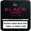 Doutníky Villiger Black Mini Sumatra 20 ks