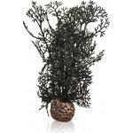 BiOrb Sea Fan čierna 20 cm – Zbozi.Blesk.cz