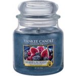 Yankee Candle Mulberry & Fig Delight 411 g – Zbozi.Blesk.cz
