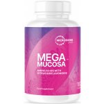 Microbiome Labs MegaMucosa 180 kapslí – Hledejceny.cz