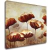 Obraz Impresi Obraz Malované květiny - 90 x 70 cm