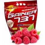 Megabol Gainer 737 3000 g – Zbozi.Blesk.cz