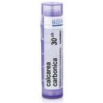 CALCAREA CARBONICA POR 30CH GRA 1X4G – Hledejceny.cz