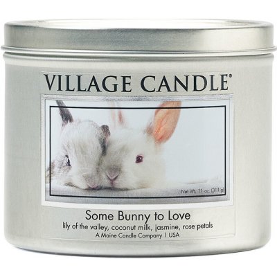 Village Candle Some Bunny To Love 262 g