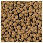 Sera Reptil Professional Carnivor Nature 3,3 kg – Zboží Mobilmania