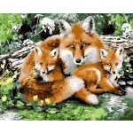 Norimpex diamantové malování Liščí rodinka 30 x 40 cm – Sleviste.cz