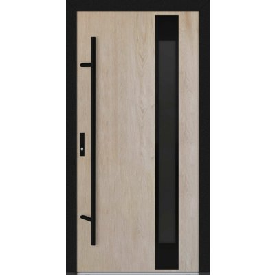 Hahn-Türke DS82-M24 grafitově šedé sklo Turner Oak Pravé 100 x 200 cm – Hledejceny.cz