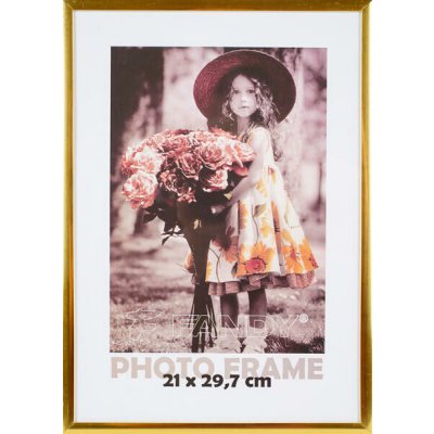 FANDY Plastový rámeček Simple 2 21x29,7 4 zlatý – Hledejceny.cz