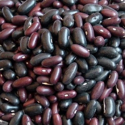 Život bez lepku Fazole malá černá 0,5 kg – Zboží Dáma