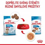Royal Canin Puppy Medium 10 x 140 g – Zboží Mobilmania