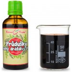 Bylinné kapky Průdušky suchý K. Pavlovy bylinné kapky tinktura 50 ml – Hledejceny.cz