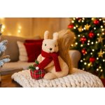 Home Styling Collection Vánoční figurka veverky s dárkem, 20 cm béžová – Hledejceny.cz