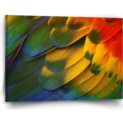 Sablio Obraz Barevné peří - 120x80 cm – Hledejceny.cz