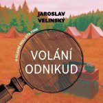 Volání odnikud – Zboží Dáma
