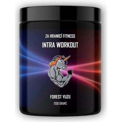Za hranicí fitness Intra Workout 1200 g – Hledejceny.cz