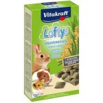 Vitakraft all Rodent pochoutka Loftys 100 g – Zbozi.Blesk.cz