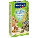 Vitakraft all Rodent pochoutka Loftys 100 g – Hledejceny.cz