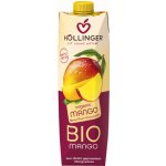Hollinger Bio Nektar mango 1 l – Zboží Dáma