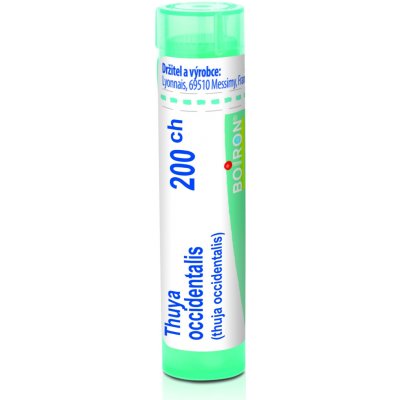 THUYA OCCIDENTALIS POR 200CH GRA 4G – Hledejceny.cz