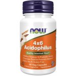 Now Foods Probiotikum 4x6 Acidophilus 60 kapslí – Hledejceny.cz