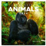 Nástěnný poznámkový Ohrožené druhy 2026 – Sleviste.cz