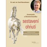 Anatomie a biomechanika sestavení a ohnutí (Gerd Heuschmann) – Hledejceny.cz