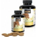 Belcando Vital 120 tbl – Hledejceny.cz