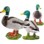 Schleich 13824 Kačer – Zbozi.Blesk.cz