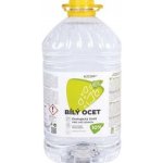 Kittfort Bílý ocet 10% 5 l – Zboží Dáma