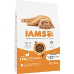Iams ProActive Health Kitten 10 kg – Zbozi.Blesk.cz