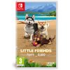 Hra na Nintendo Switch Little Friends: Puppy Island