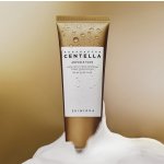 SKIN1004 Madagascar Centella Ampoule Foam Mycí pěna na obličej s pupečníkem asijským 125 ml – Zboží Dáma