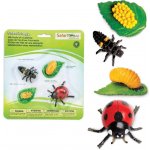 Safari Ltd. Životní cyklus Beruška – Zboží Mobilmania