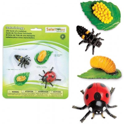 Safari Ltd. Životní cyklus Beruška – Zboží Mobilmania