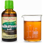 Bylinné kapky Muškátovník tinktura 50 ml – Hledejceny.cz