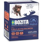 Bozita Adult Dog Naturals Big Salmon 370 g – Sleviste.cz