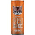 Fizistyle Fizi Drink Limonáda s příchutí tropical 250 ml – Zbozi.Blesk.cz