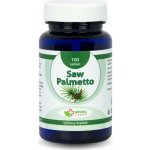 Natural Pharm Saw Palmetto 100 tablet – Hledejceny.cz