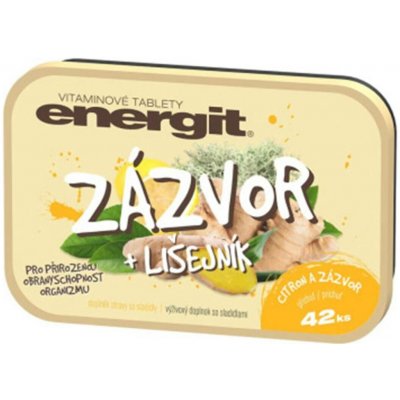 Energit Zázvor a lišejník 42 tablet – Hledejceny.cz