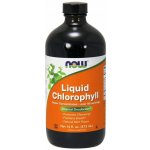 Now Foods Liquid Chlorophyll & Mint tekutý chlorofyl 473 ml – Hledejceny.cz