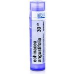 ECHINACEA ANGUSTIFOLIA POR 30CH GRA 1X4G – Hledejceny.cz