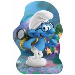 Playmobil 6982 Surfař s plážovým autem – Zboží Dáma