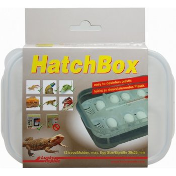 Lucky Reptile HatchBox 17x11 cm