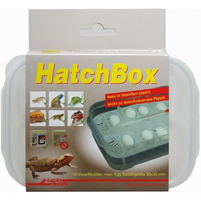 Lucky Reptile HatchBox 17x11 cm – Hledejceny.cz