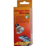 Lucky Reptile Halogen Sun Mini 50 W Double Pack – Zbozi.Blesk.cz