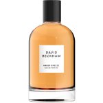 David Beckham Amber Breeze parfémovaná voda pánská 100 ml – Hledejceny.cz